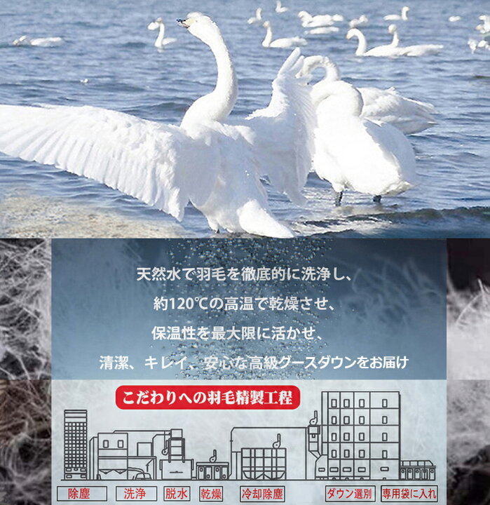 楽天市場】【BLACK FRIDAY11/21~11/27 8%OFFクーポン&P5倍】Fengzel 