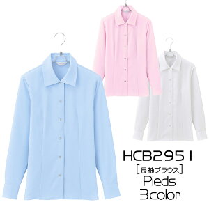 yACgXz@uEX(21-23)傫TCYHCB2951@AITOZ@Pieds@sGy1܂Ń[։z