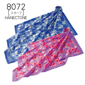 ynlNg[z@XJ[t8072@HANECTONECounter Biz@JE^[rYy[։z