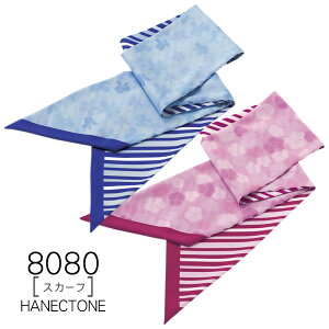 ynlNg[z@XJ[t8080@HANECTONECounter Biz@JE^[rYy[։z