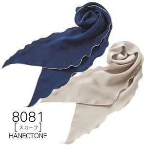 ynlNg[z@XJ[t8081@HANECTONECounter Biz@JE^[rYy[։z