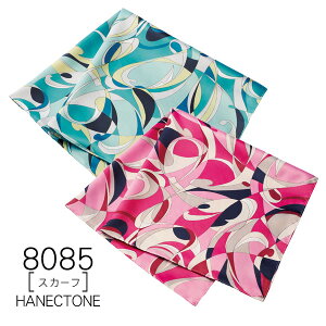 ynlNg[z@XJ[t8085@HANECTONECounter Biz@JE^[rYy[։z