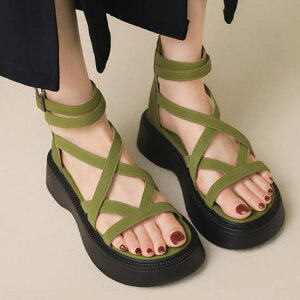 yzOfBG[^[T_  oCJ[ T_ fB[X l  OfBG[^[ [q[ 킢  JWA EFbW\[ 傫TCY Xgbv t