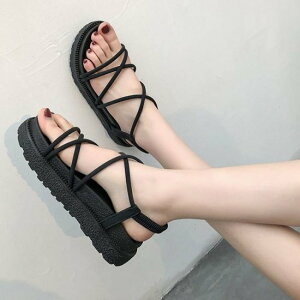 yzV[Y T_ fB[X C V[Y JWA I[vgD ׃Xgbv 4cm 킢 T_ 傫TCY ؍ gh  t  V fUC V[Y 