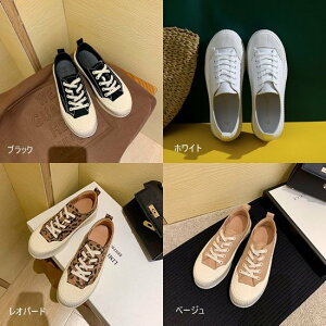 yzXj[J[ fB[X  [Jbg   Ip[h x[W C tbgV[Y ʋ ʊw   JWA Xj[J[ LoX fB[X 傫TCY V