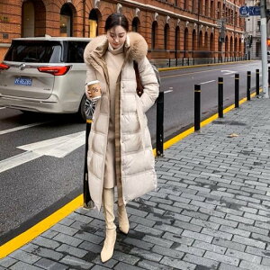 yz_ER[g fB[X OR[g t@[t[h  xgt t[ht {[ O ~fBA _EWPbg ꂢ JWA  h ItBX 