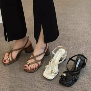 yzT_ fB[X C V[Y  gOT_ ~[ ewO q[ o  JWA E₷ GKg ₷ r[` fB[X  gO