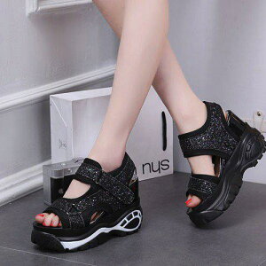 yzT_ fB[X 傫TCY  X|[c X|T q[ ₷ C  T_ r r    JWA EFbW\[ s LL 