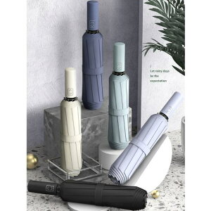 yzP P܂݃fB[X PJPp SՌ 100 uvJbg MǑ΍ Jp y  y J ~J O΍ RpNg   pXeJ[ g