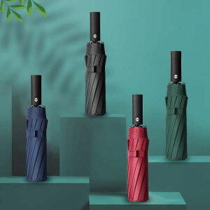 yzP P܂݃fB[X PJPp SՌ 100 uvJbg MǑ΍ y  y J ~J O΍ RpNg   i VbN sAJ[ g