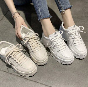 yzXj[J[ fB[X  Xj[J[ _bhXj[J[ [XAbv V[Y Vv JWA ₷ ₷ ؍  `L[q[ 킢  o