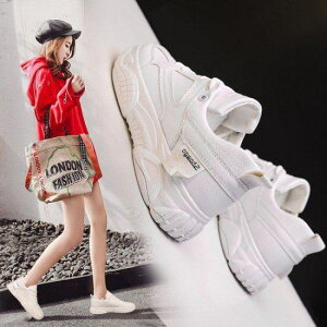 yzV[Y Xj[J[ fB[X C  [XAbv JWA  _bhXj[J[ X|[cV[Y 傫TCY H ~ V X|[c 킢 gh Xj[