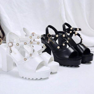 yzT_ ~[ fB[X nCq[ Xg[ I[vgD q[ 10cm ؍  傫TCY ₷ ₷ l r r ؚ 킢  `