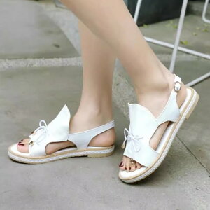 yzT_ fB[X C V[Y I[vgD { obNXgbv tbgT_ ؂ ₷ ₷ ɂ JWA o   t@b