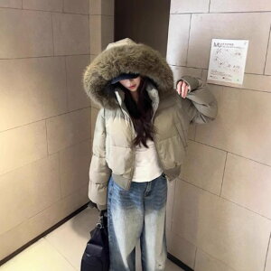 yzWPbg fB[X AE^[ HD V[g Nbvh t[ht t@[ X^CAbv  _EWPbg h h ~  JWA o  V