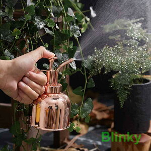  |p 300ml 傤 Xv[ SUS304XeX  |v | ~Xg | U ϗtA Vo[