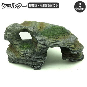 VF^[  ঒  T J gJQ C B pCAEg fR[V  n ╗ CeA P[W pi