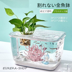  _J   ԕr ANAE {gANAE ou{E {geE ۃeE RPE