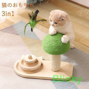 L  3in1 L炵 {[] VԔ ܂Ƃ ؐ  ˂ ߂Ƃ Sg ܌ Lp ܖ  Lbg CeA XgX