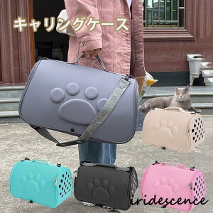 L[obO ܂肽݃\tgL[ OobO ܂݃L[P[X ybgobO ł \tgL[ ^ lR  ֗ S5F