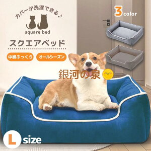 yX[p[SALEz Z-Pearl  xbh 􂦂 ^ XNGA ~p ėp ybgxbh xbh pxbh L ybg NbV xbg ̃xbh L xbh LTCY ybgnEX