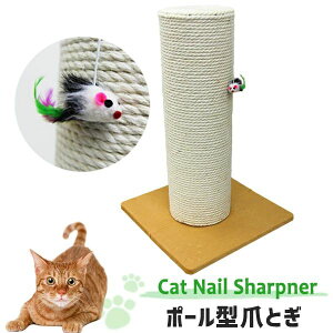 yX[p[Z[ő70%OFFz ܂Ƃ L  |[^ Lp lR ߂Ƃ ܌  LObY Lp܂Ƃ lR^[ L^[ lR^[ 킢 ؐ  Lbg