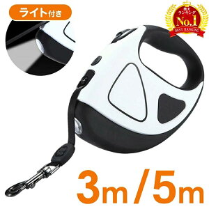 �y 10%OFF�� �z2 180�~��1 960�~ 3(��)20���` ���[�h �L�k �� �y�b�g �q�� 5m ��^�� �L�k���[�h ���C�g ���C�g�t�� �L�k ��� LED 3m ���b�N led ���^�� ���^�� �y�� ������莮 �����L�k �����O ���� �y