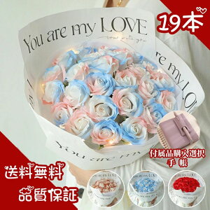 \[vt[ Mtg v[g w ̓ ̓ Ǝ ԑ a ЂȍՂ  o u[P AEj \  j  ސEj v`Mtg RpNg ͂Ȃ t