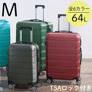 �L�����[�o�b�O �O���l�� 64L ���s�J�o�� �������s �C�O���s �_�u���L���X�^�[ �y�� �����Y ���f�B�[�X ������� �y�� ��e�� �n�[�h�P�[�X �z���C�g/�^�[�R�C�Y�u���[/�_�[�N���b�h/���X�O