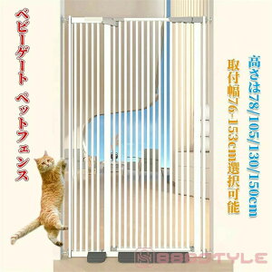 xr[Q[g ybgQ[g ybgtFX nC^Cv i76/105130/150cmI\jit76-153cmI\j g\ Jsv  LщzEoh~ tȒP_ubN