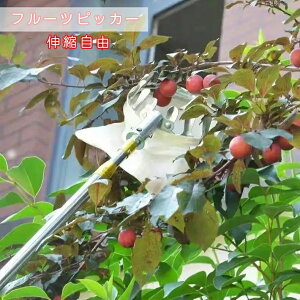 �t���[�c�s�b�J�[ �ʕ���� ���}�؂�΂��� �L�k�� ���}�� �ʕ� ���n�c�[�� �s�b�L���O�c�[�� �ʕ��L���b�`���[ �y�� �x���[�s�b�J�[ �ʎ��p�t���[�c�s�b�J�[ �ʕ����n ���}�p ���|�p�� �K