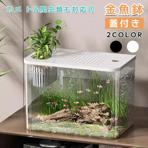 ������ �v���X�`�b�N �A�N���� ���� ��e�� 2�J���[ �z���C�g �A�N�A���E�� �W�t�� ���琅�� ���_�J���� ���_�J�� ���k�͔| �A���͔| ���_�J����e�� ��^ ���� ���� ������� �h�� �ԕr ���_