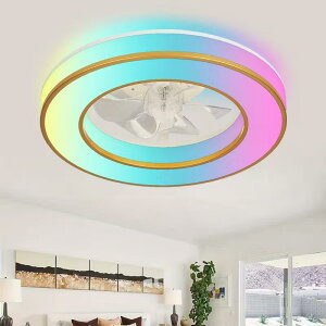 �y2025�V������RGB�V�����������r���[���T�z�V�[�����O�t�@�� RGB �V�[�����O�t�@�����C�g LED dc���[�^�[ �k�� ���^ led �������F ��@ 8�� 12�� ������� �t�@���t���Ɩ� �����R�� APP ��C�z��