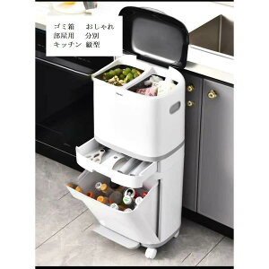 �S�~�� ������� ���� �L�b�`�� �c�^ �X���� �t�^�t�� 2�i �L���X�^�[�t�� �W�t�� �_�X�g�{�b�N�X �A�C�f�A �����p 40L �L��Ȃ�