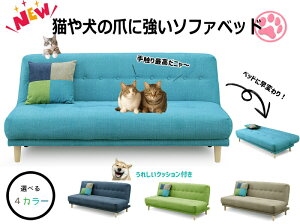 �ጢ���L�����̂Ђ��������ɋ����\�t�@�x�b�h��⁚��O���̃y�b�g�u�[���̋~����I�����\�t�@���{���{���ɂ����S�z�Ȃ����y�z����/���ɂ悢���H�z�yGTNB-01�z�y���������z