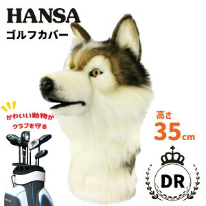 hCo[pStwbhJo[ VxAnXL[HANSA nTStNuJo[ DR VxAnXL[Aj}CeAGݑ