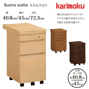 JN fXNS {i VF^ ST005 40.8cm/s45cm I[NV karimoku/I[N IׂJ[ {/wK/[NfXN/ItBXfXN/S 