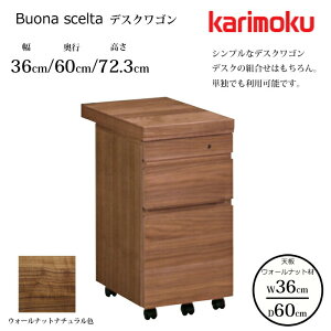 y10/5 Gg[Ń|CgIIzJN fXNS {i VF^ ST0054XR 36cm/s60cm EH[ibgV karimoku/EH[ibg {/wK/[NfXN/ItBXfX