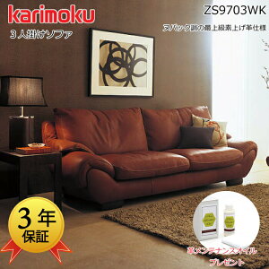 y11/1ɎgN[|zzIzJN ֎q ZS9703WK karimoku ŏ㋉v vAg/3l|\t@ {//pveiXICv[g 