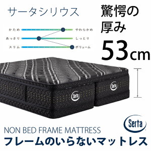 y11/1ɎgN[|zzIzyKizT[^ VEX t[̂Ȃ}bgX IׂTCYiPS/SD/D/Q1/Q2/SKj Serta etH[ E^ GT[NtH[ 