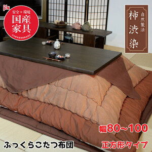 y{zATq ӂ炱zc `a 80`100cm ` |~zcZbgKF-126 30/F/uE//SESYƋFASAHI/ؐ/VR/zĉ/ێ͑