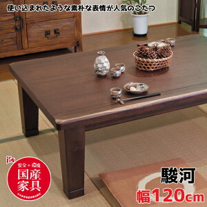 y{zATq  xKR120邪 120cm/^/Â/SESYƋF/tbVVASAHI/P/rOe[u/J[{q[^[