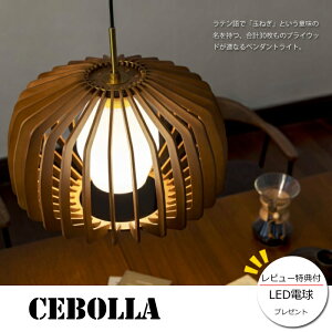 yr[LEDdv[gIzyƖzCebolla lamp Md/LED^CvZ{ y_gv/dt/LEDdt/C^[tHꃉCg/Ebht[/ʂ˂^/JtF/H