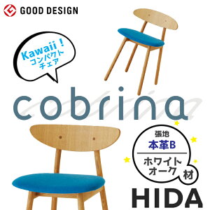 HIDA RpNg`FA CobrinaiRuij i{vBj zCgI[N ˎY/_CjO`FA/TF200/220/{/wႢ`FA/킢 10Nۏ/1r̔/