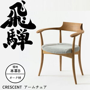 y9/5 Gg[Ń|CgIzHIDA A[`FA NZgij I[N IׂJ[/Iׂ钣ni{vBj ˎY/CRESCENT/SG210AN/_CjO`FA/{//It֎q 10N