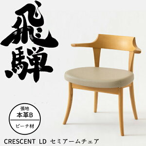 HIDA LD Z~A[`FA NZg  r[` IׂJ[/Iׂ钣ni{vBj ˎY/_CjO`FA/CRESCENT/SG240AB/{//`CIt 10Nۏ/1r̔/