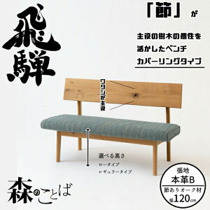 HIDA _CjOx` X̂Ƃ x` 120cm Jo[O^Cvi{vBj I[N IׂJ[/Iׂ鍂 ˎY/SN270C/SN270CH/{/10Nۏ/x`P/