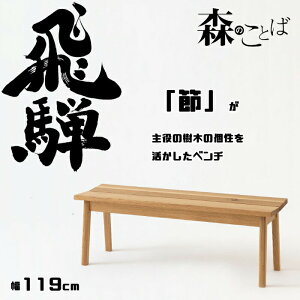 HIDA _CjOx` X̂Ƃ x`  119cm I[N IׂJ[ ˎY/SN661/{/Bꖳ/R 10Nۏ/1r̔/