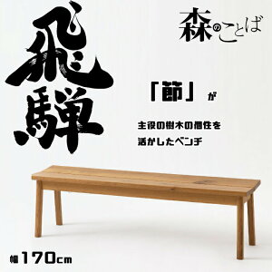 HIDA _CjOx` X̂Ƃ x`  170cm I[N IׂJ[ ˎY/SN664/{/Bꖳ/R 10Nۏ/1r̔/