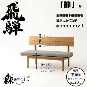 HIDA _CjOx` X̂Ƃ x` 120cm NbV^Cvi{vBj I[N IׂJ[/Iׂ鍂 ˎY/SN270/SN270H/{/10Nۏ/x`P/